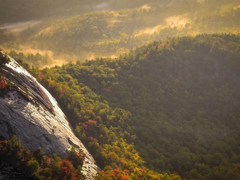 Professional Camera 8 - Main View