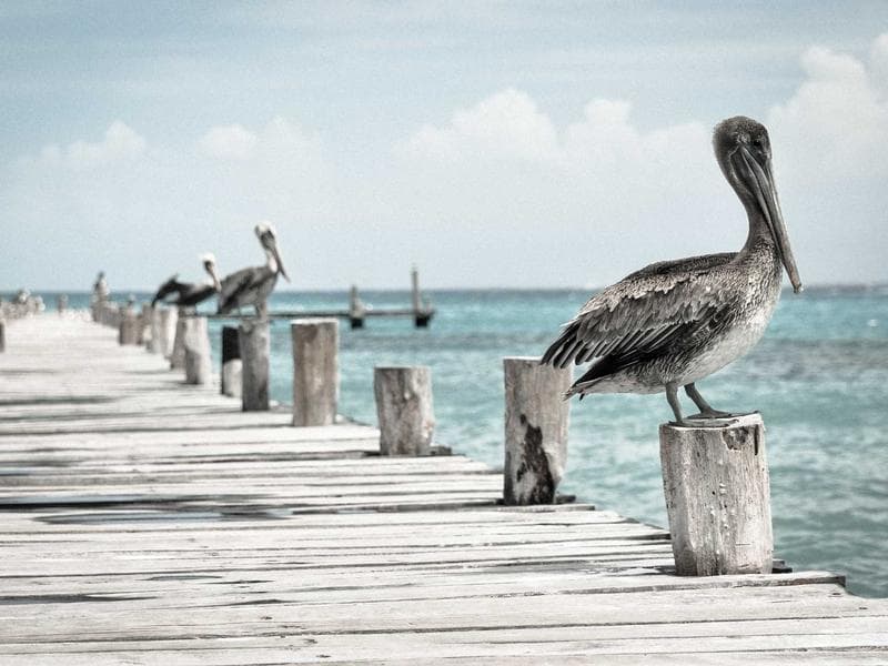 Graphic Design image 2