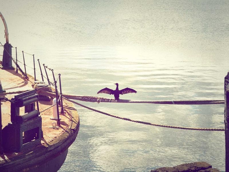 Surfboard 14 - Main View