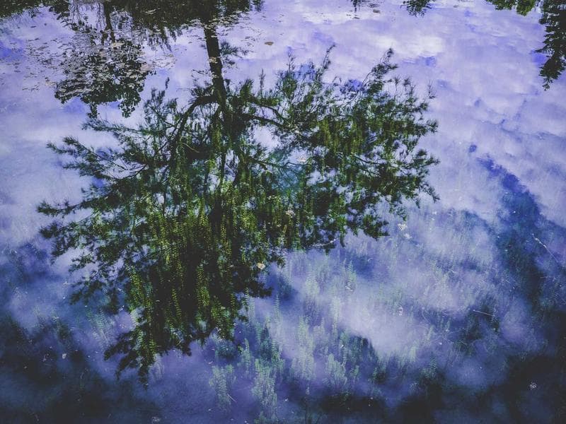 Business Consulting image 2