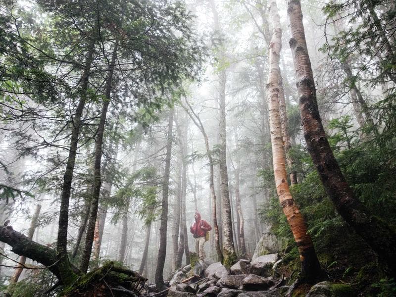 Gaming Console 30 - Main View