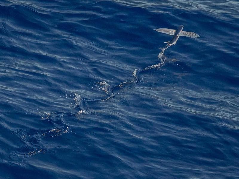 Vacuum Cleaner 26 - Main View