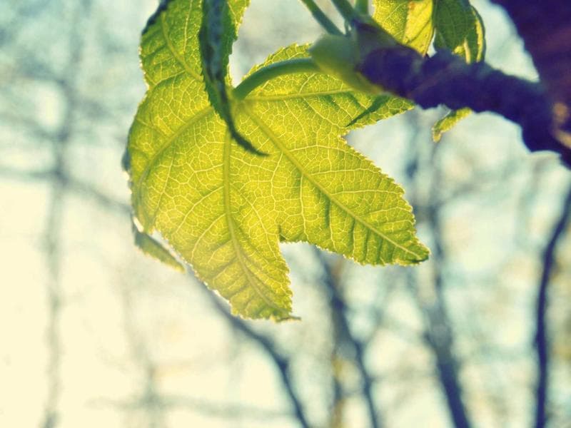 Technical Writing image 1