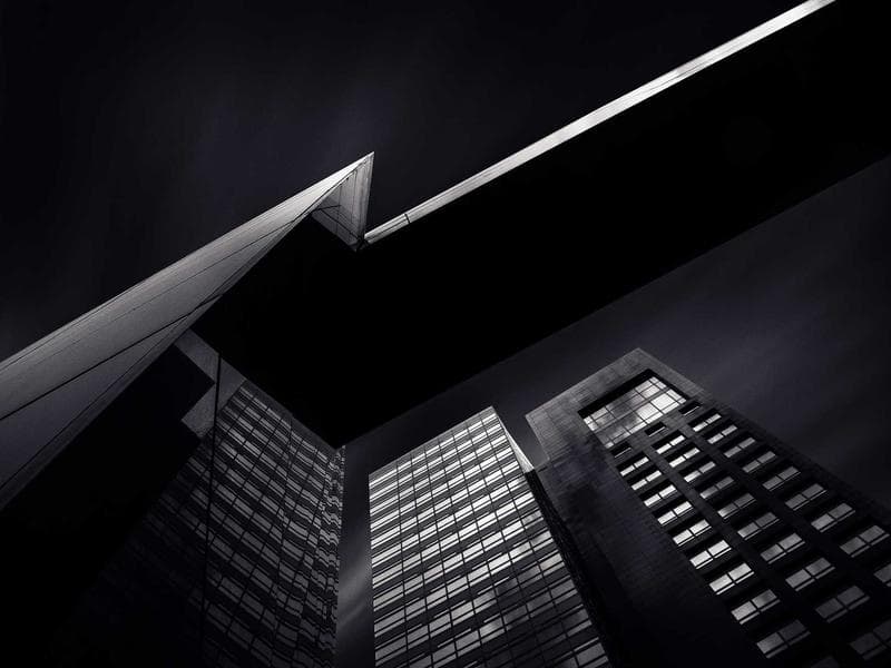 Plant 49 - Main View