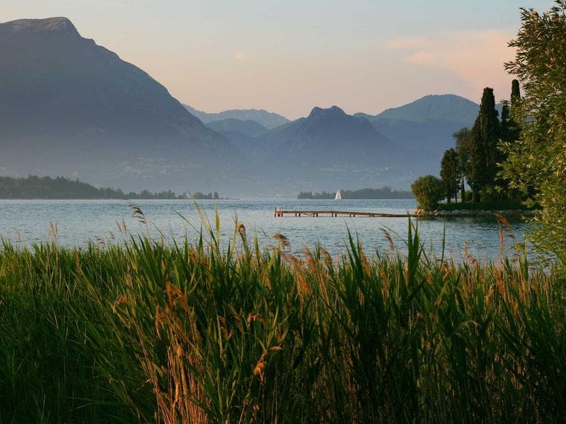 E-commerce Setup image 3