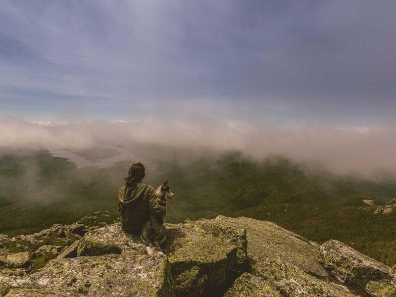 Event Planning image 2