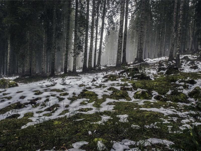 Investment Advice image 3