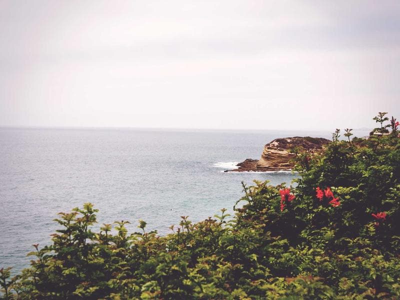 Pillows 42 - Main View