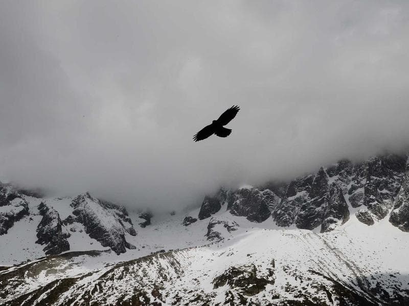 Cloud Services image 1