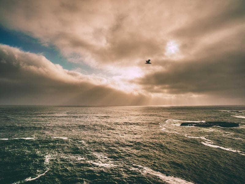 App Development image 2