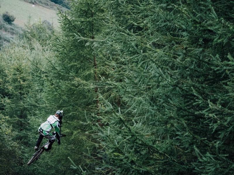 Social Media Management image 3