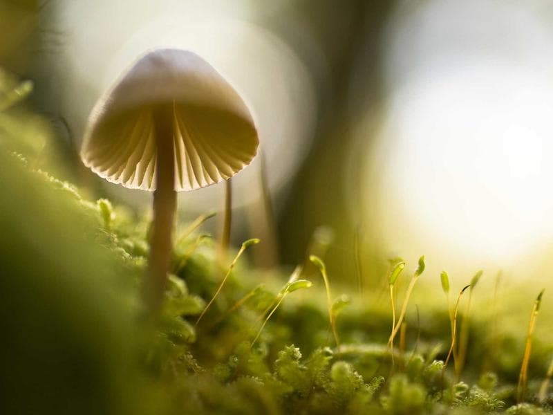 Massage Therapy image 3