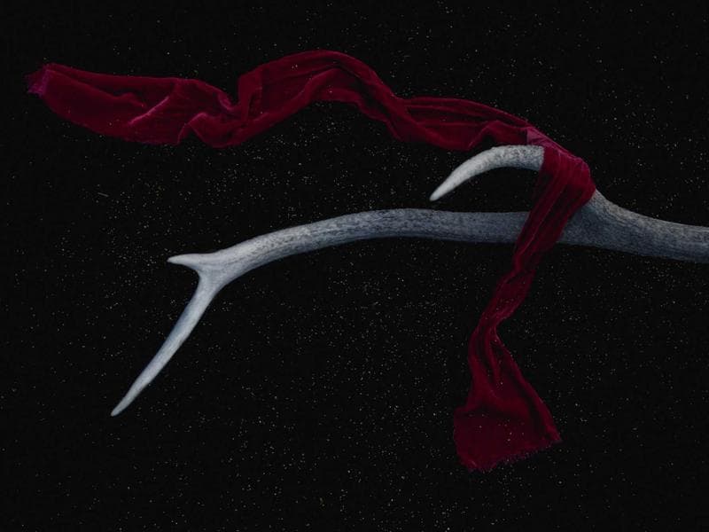 Software Development image 1