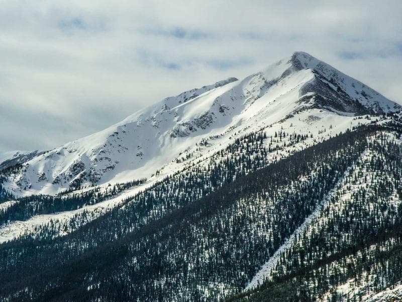 Investment Advice image 1